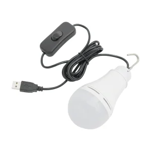 Ampoule LED USB portable 5V