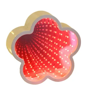 Miroir Infini Maison